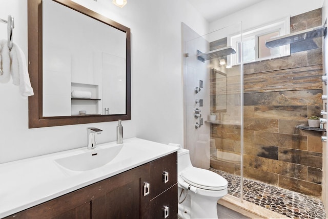 bathroom with vanity, a shower with shower door, and toilet