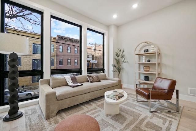 living room featuring light hardwood / wood-style flooring