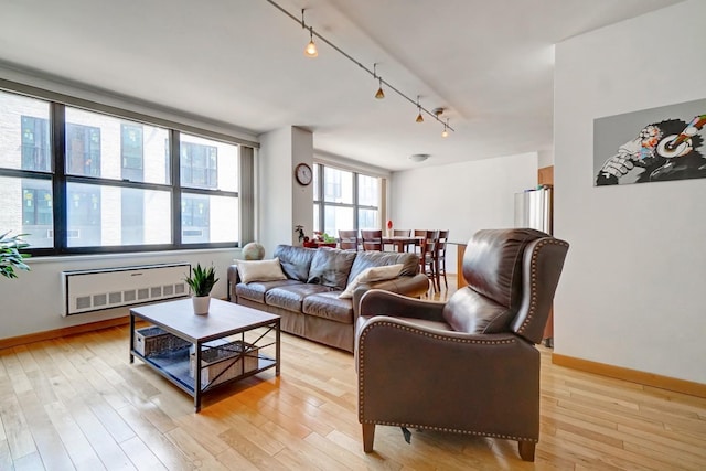 living room with track lighting and light wood-type flooring