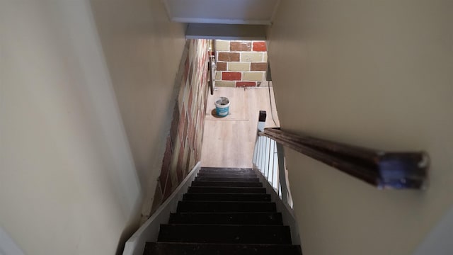 339 Stevens Ave, Jersey City, NJ 07305 - photo 11