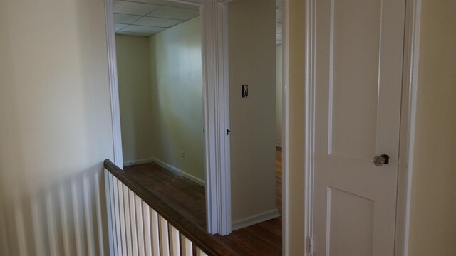 339 Stevens Ave, Jersey City, NJ 07305 - photo 13