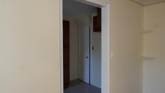 339 Stevens Ave, Jersey City, NJ 07305 - photo 12