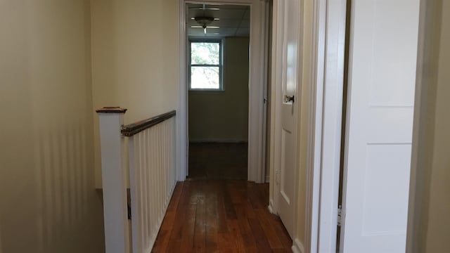 339 Stevens Ave, Jersey City, NJ 07305 - photo 21