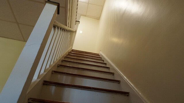 339 Stevens Ave, Jersey City, NJ 07305 - photo 26