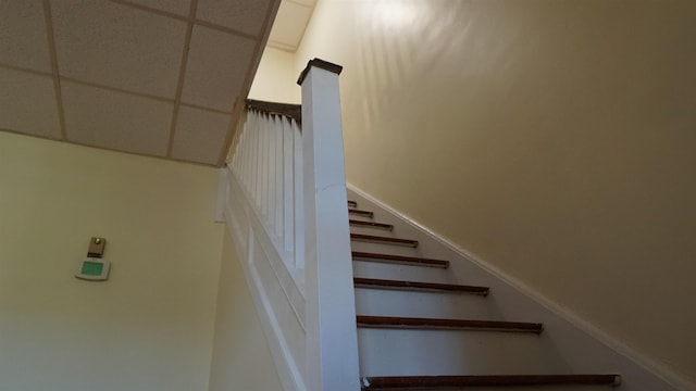 339 Stevens Ave, Jersey City, NJ 07305 - photo 25