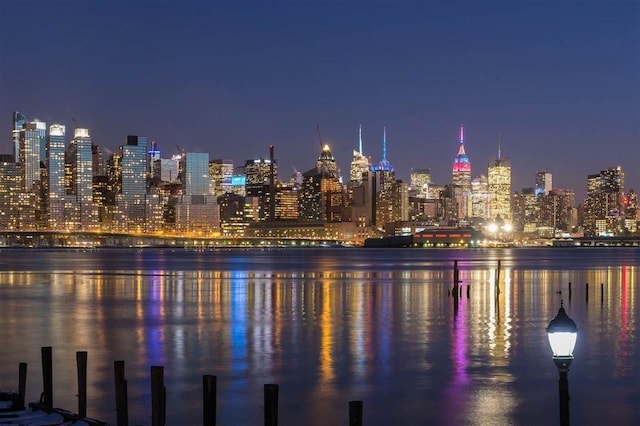 view of water feature featuring a view of city lights