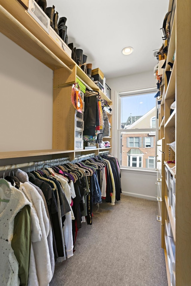 spacious closet featuring carpet floors