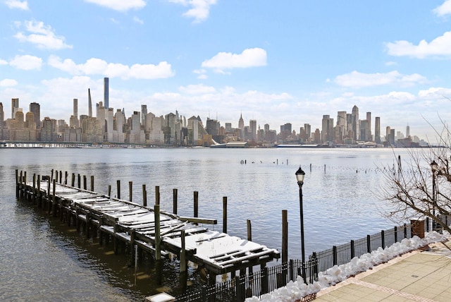 dock area with a water view and a view of city