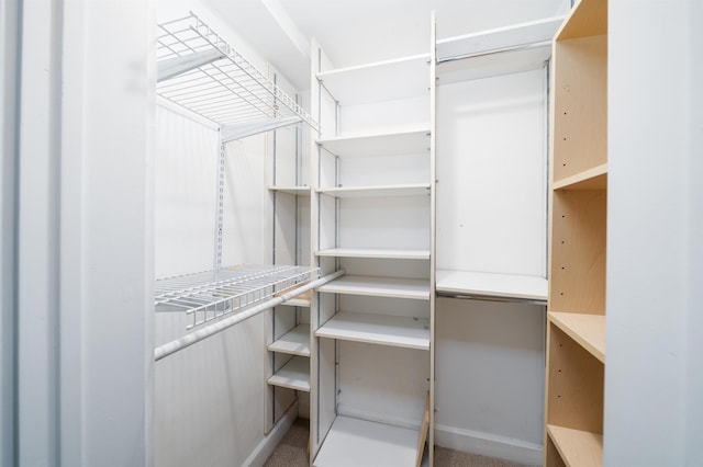 117 Clinton St Unit 2Fs, Hoboken, NJ 07030 - view of spacious closet