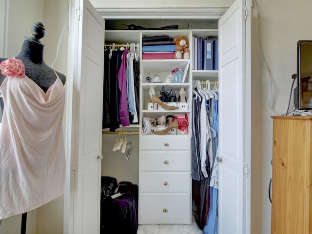 view of closet