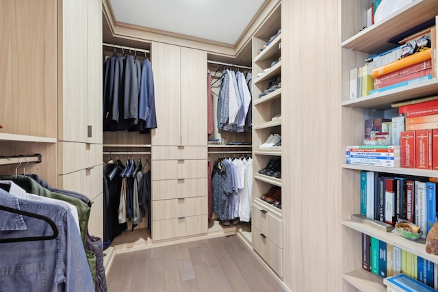 spacious closet featuring wood finished floors