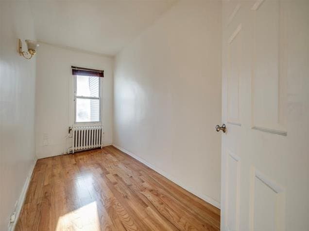 spare room featuring light wood-style flooring and radiator