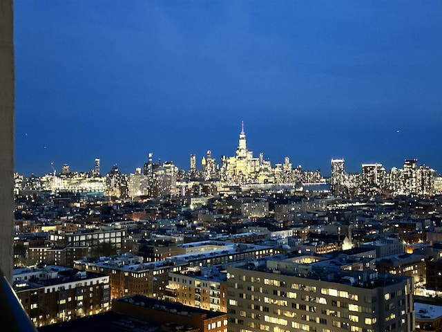 100 Manhattan Ave Unit 1316, Union City, NJ 07087 - city view
