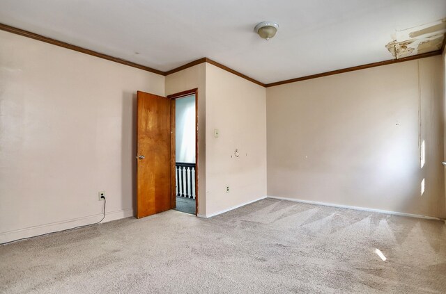 49 E 33rd St, Bayonne, NJ 07002 - photo 13