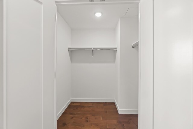 walk in closet with dark wood finished floors