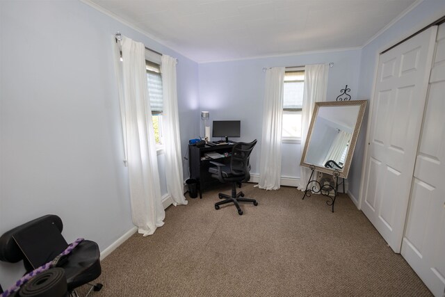 9005 Durham Ave, North Bergen, NJ 07047 - carpeted office with ornamental molding and baseboard heating