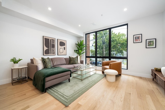 living room with light hardwood / wood-style floors and a wall of windows