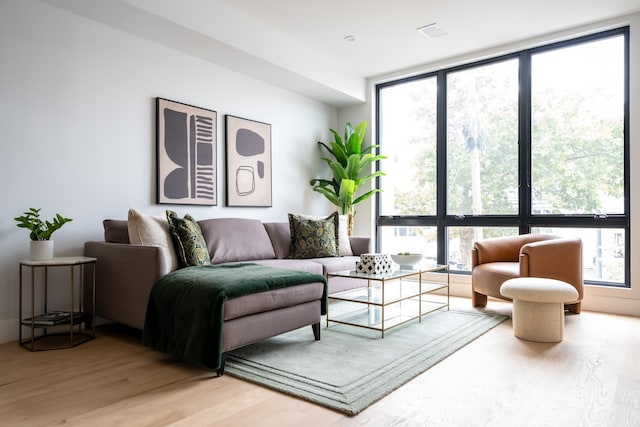 living room with a wall of windows, light hardwood / wood-style flooring, and plenty of natural light