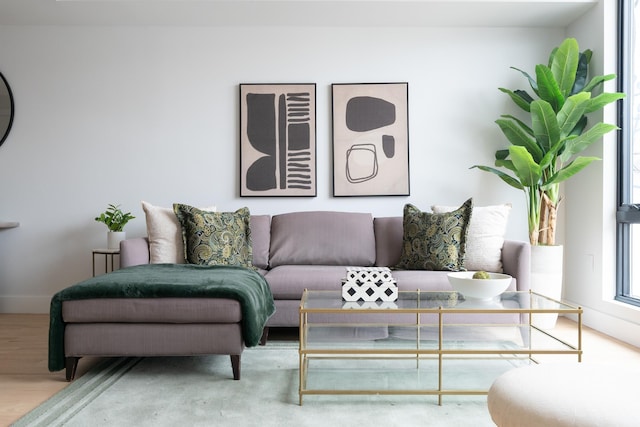 living room featuring hardwood / wood-style floors