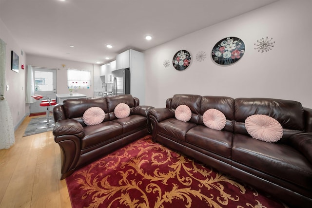 living room with light wood-type flooring