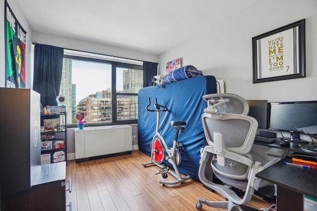 bedroom featuring hardwood / wood-style floors