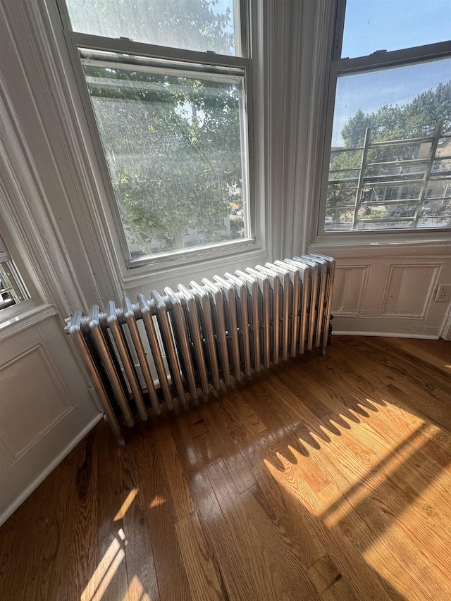 details featuring radiator heating unit and wood-type flooring