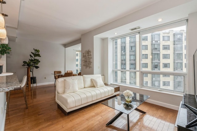 living room featuring hardwood / wood-style flooring