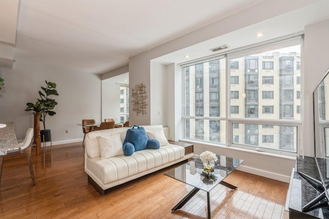 living room featuring hardwood / wood-style floors