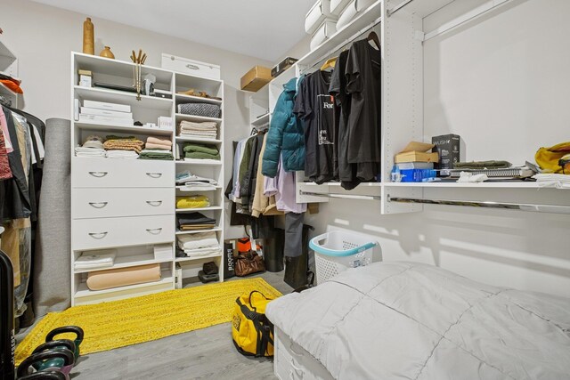 walk in closet featuring wood finished floors