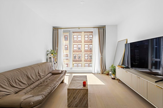 living room featuring light hardwood / wood-style floors