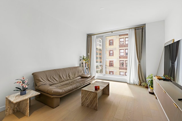 living room featuring light hardwood / wood-style floors