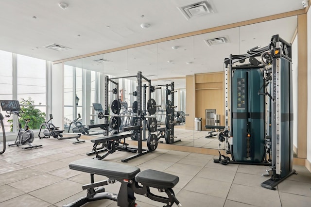 gym featuring a wall of windows