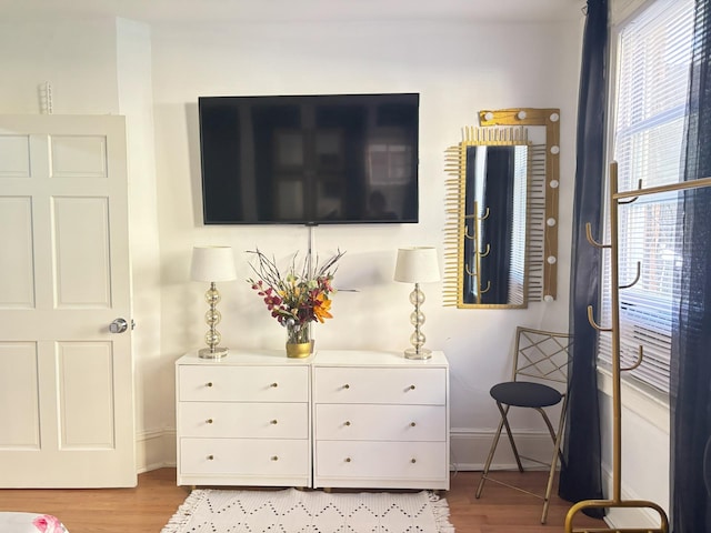 details featuring baseboards and wood finished floors