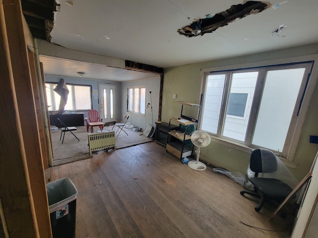 bedroom featuring wood finished floors