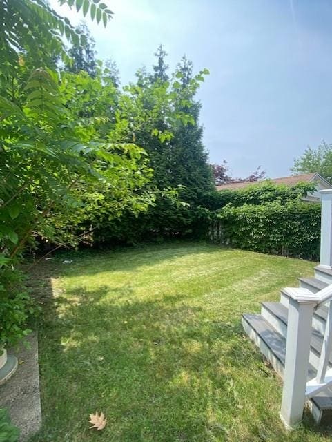 6 Stone Ave, Elmwood Park, NJ 07407 - view of yard