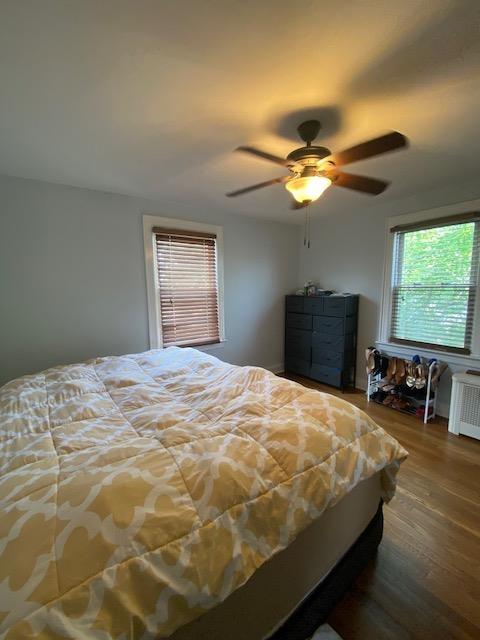 6 Stone Ave, Elmwood Park, NJ 07407 - bedroom featuring wood finished floors and ceiling fan
