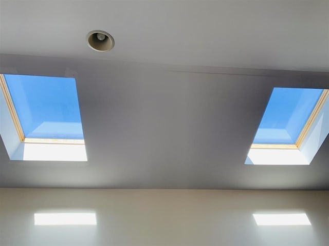 additional living space featuring a skylight