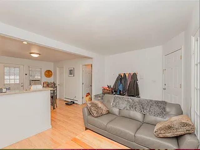 living room featuring light hardwood / wood-style flooring