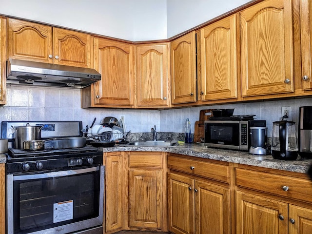 kitchen featuring tasteful backsplash, appliances with stainless steel finishes, ventilation hood, and sink