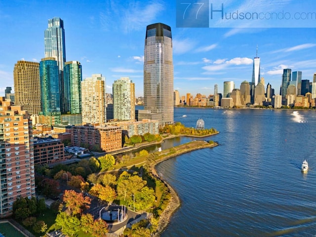 77 Hudson St Unit 1501, Jersey City, NJ 07302 - view of city skyline with a nearby body of water