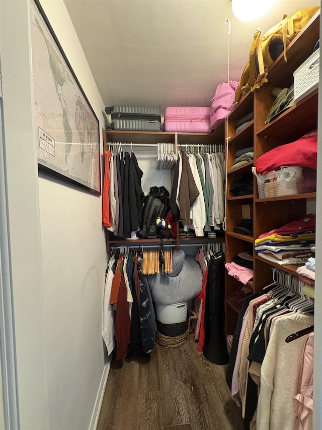 walk in closet with wood finished floors