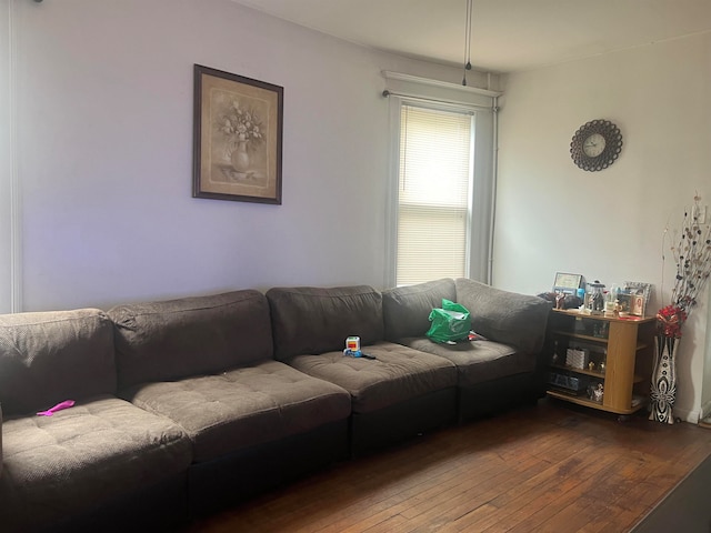 living room featuring hardwood / wood-style floors