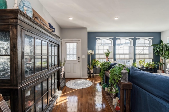 entryway featuring hardwood / wood-style flooring