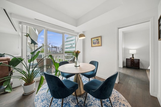 dining room featuring dark wood-type flooring