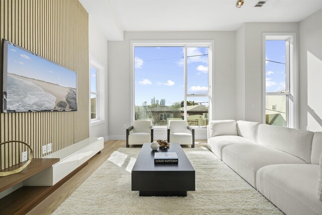 44 Bleecker St Unit 2, Jersey City, NJ 07307 - living area with wood finished floors, healthy amount of natural light, and baseboards