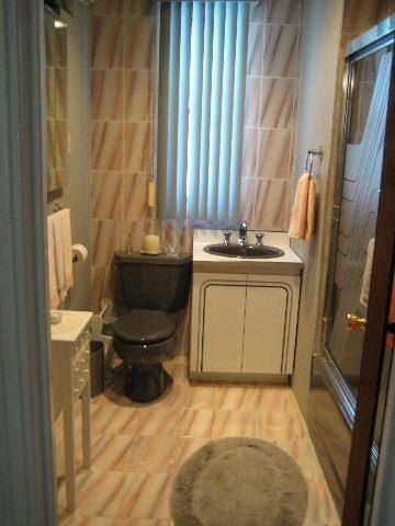 bathroom featuring vanity, walk in shower, and toilet