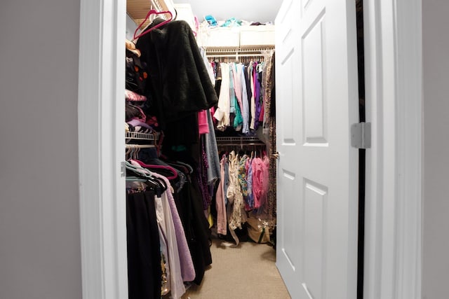 spacious closet featuring light colored carpet