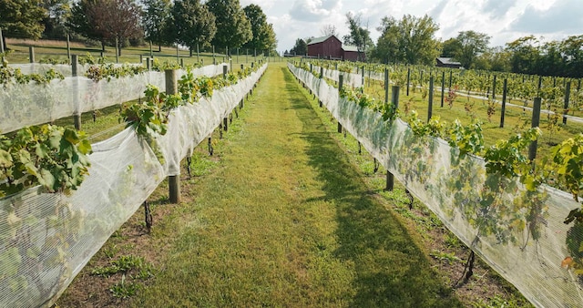 view of yard with a rural view