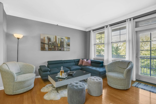 living room with hardwood / wood-style floors and ornamental molding