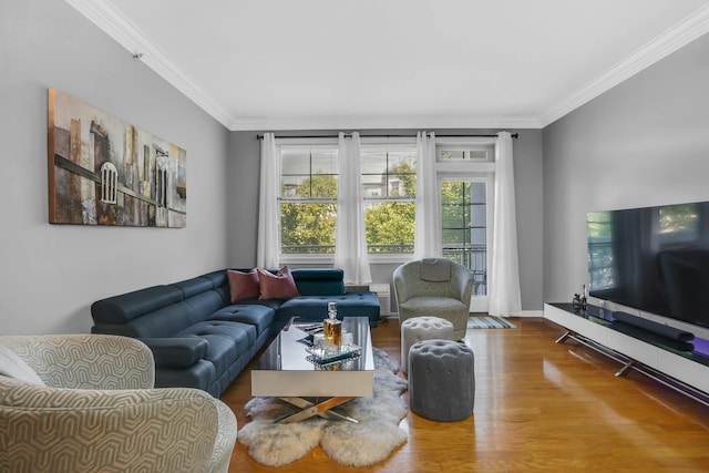 living room featuring wood-type flooring and crown molding